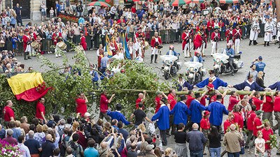 Meyboom - © KIK-IRPA/RBC-BHG, cliché x118903 Meyboom - © KIK-IRPA/RBC-BHG, cliché x118903