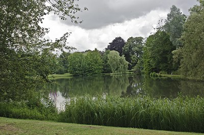 Royale belge 17 Royale belge 17